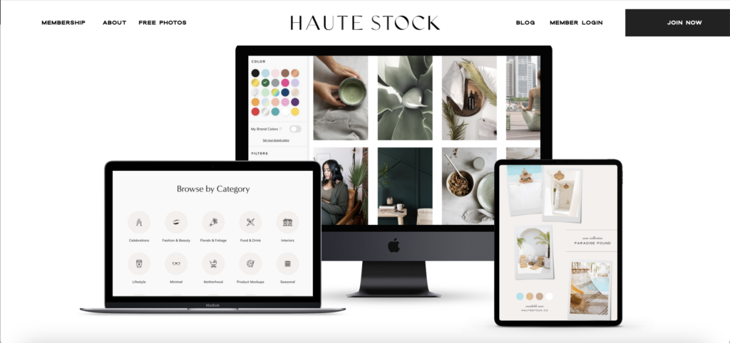 Stock Pic Subscriptions - haute stock 2